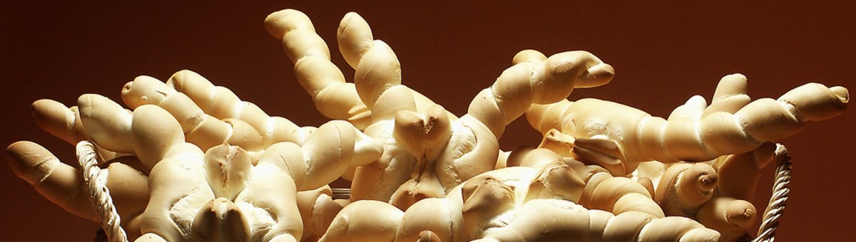 Sapori del Delta del Po