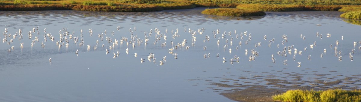 Il Delta del Po