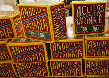 anguilla