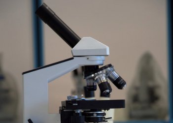 microscopio