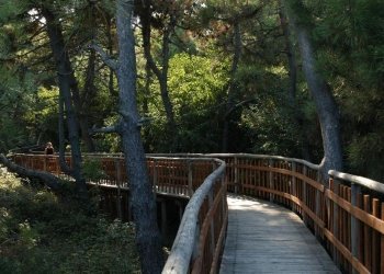 giardino botanico