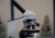 microscopio